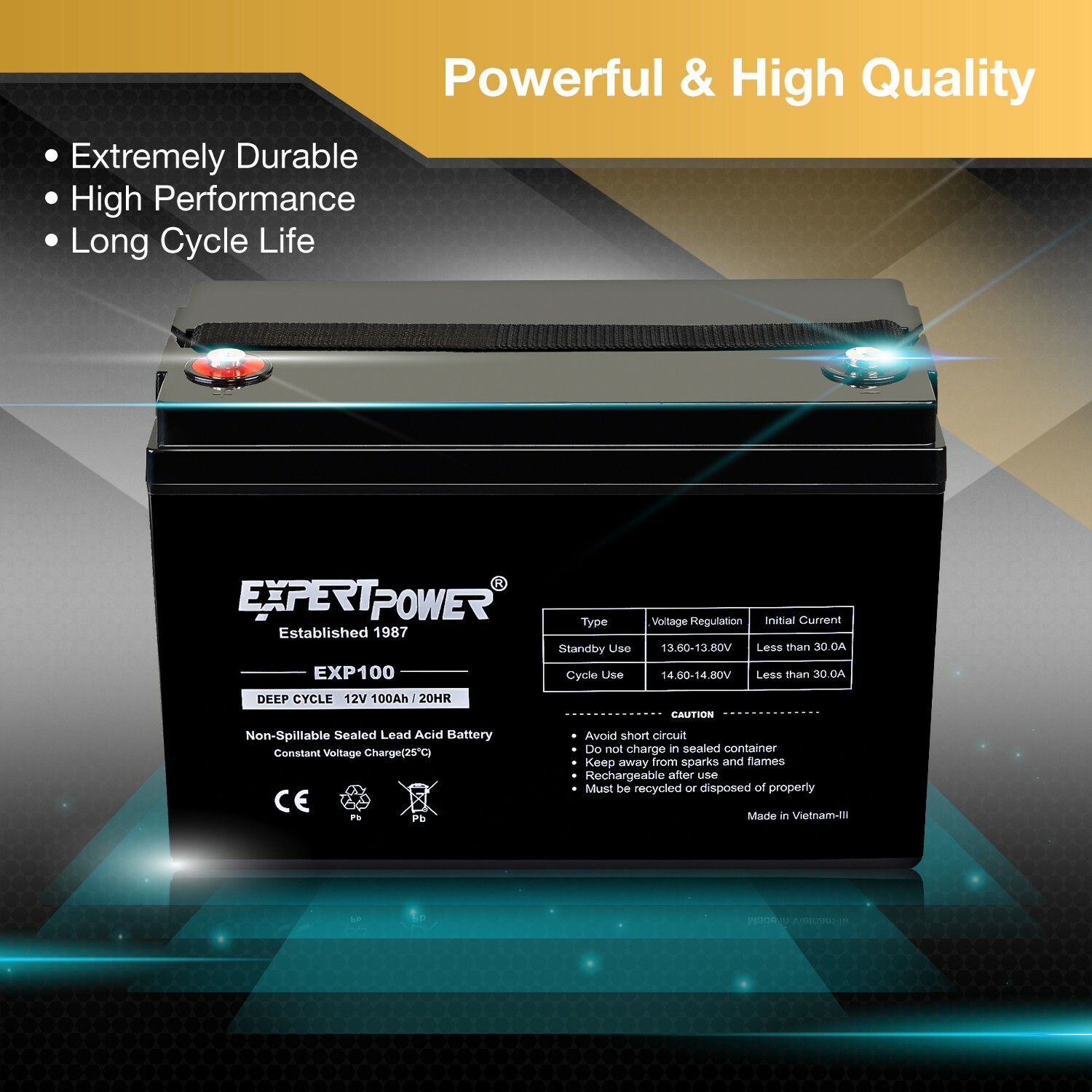 ExpertBattery 1200WH 200W 12V Monocrystalline Solar Panel Kit, Off Grid DIY