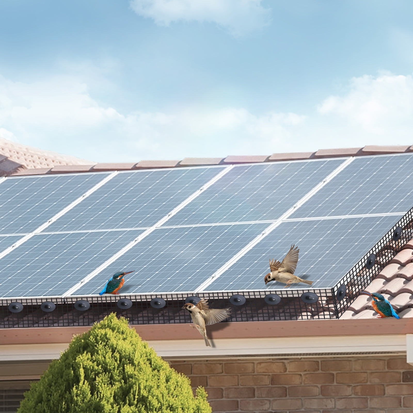 8in x100ft Solar Panel Bird Guard w/ 50 Pcs Tie Wires,Critter Guard Roll Kit PVC