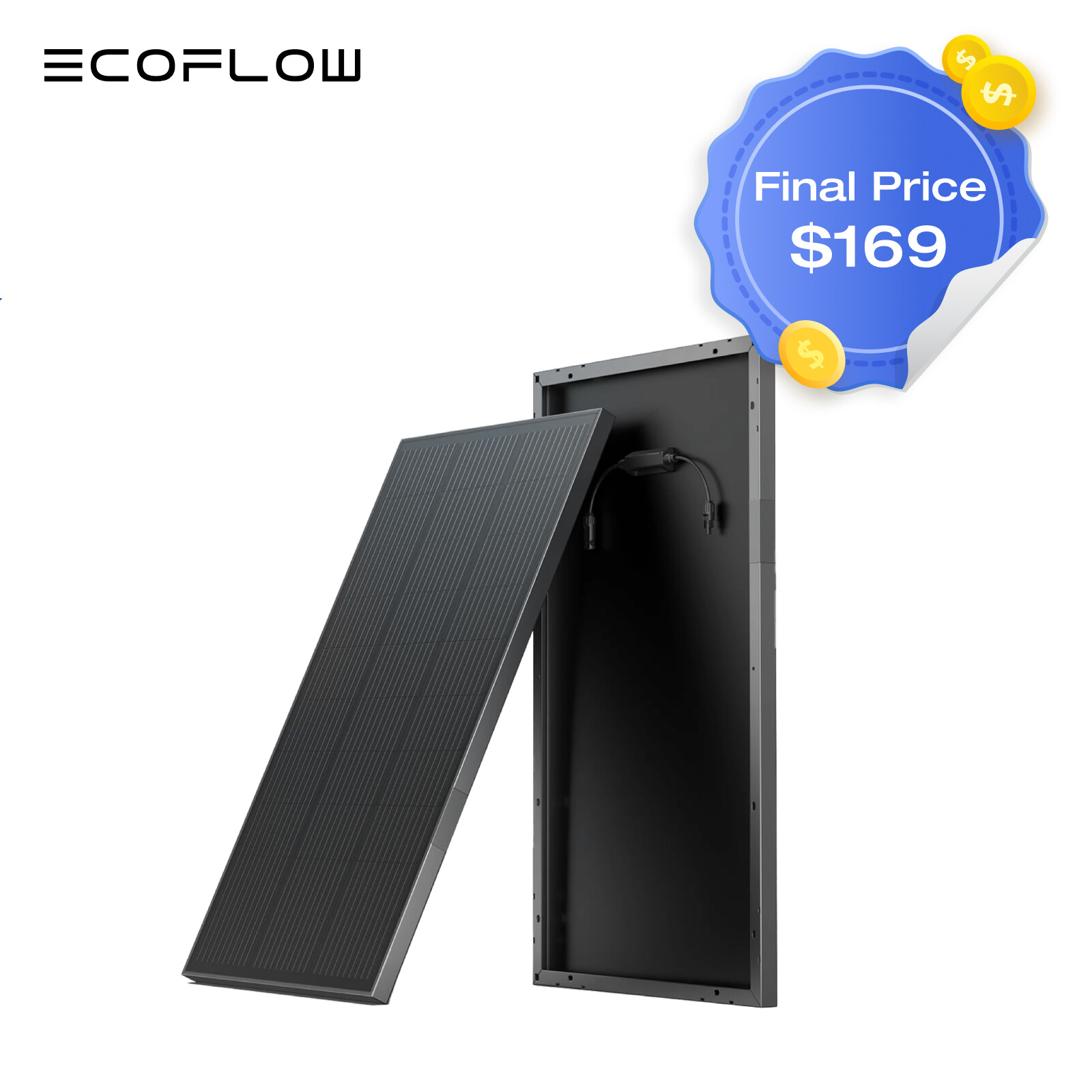 EcoFlow 2PCS 100W Rigid Solar Panel with IP68, High Efficiency Solar Modules