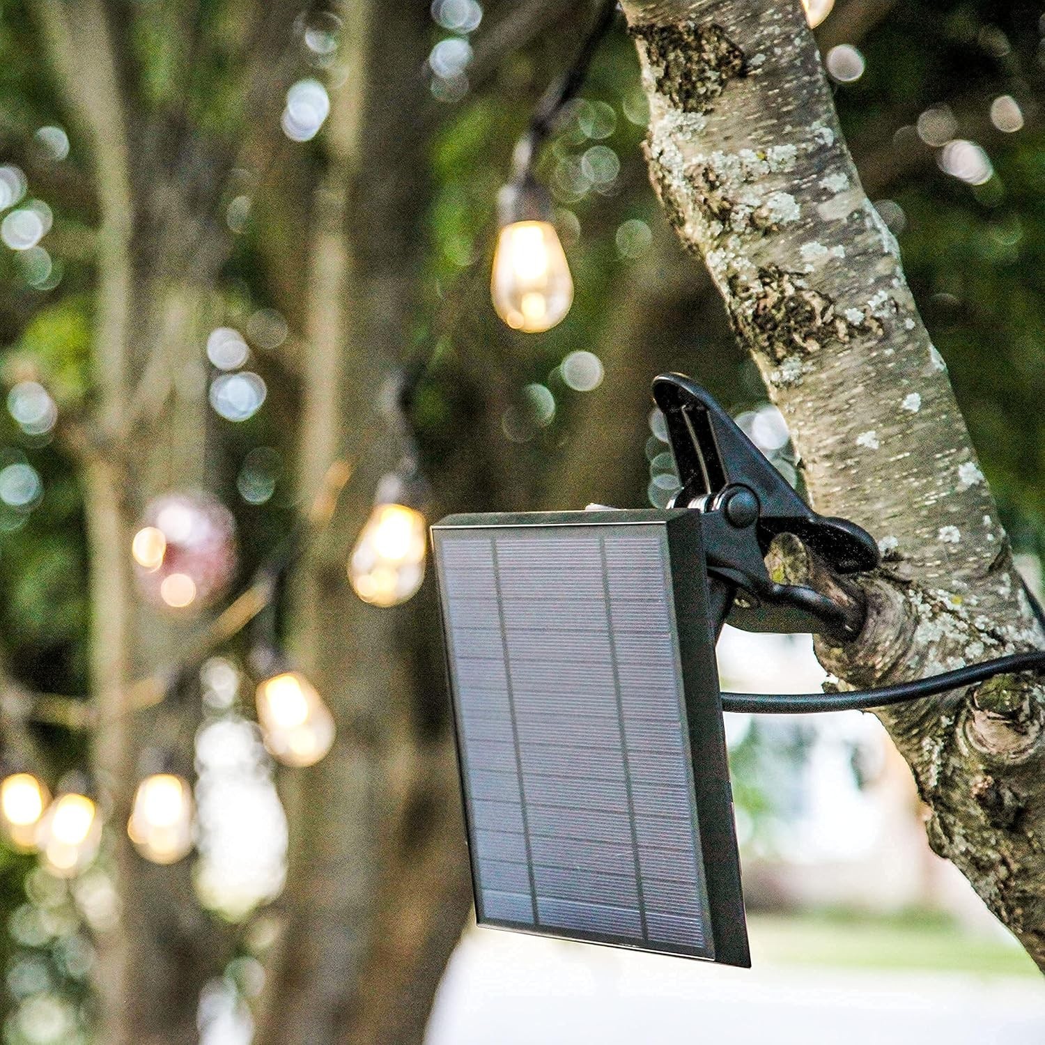 Replacement Solar Panel Ambience Pro Compatible ONLY W/ 1W Solar-Powered Outdoor