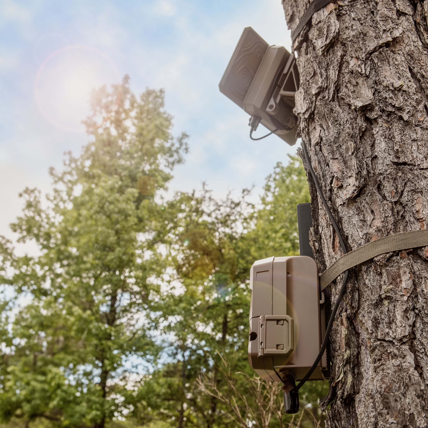 Moultrie 3.4 Watt Solar Power Pack for Trail Cameras, 3350mAh Battery Pack USB-C