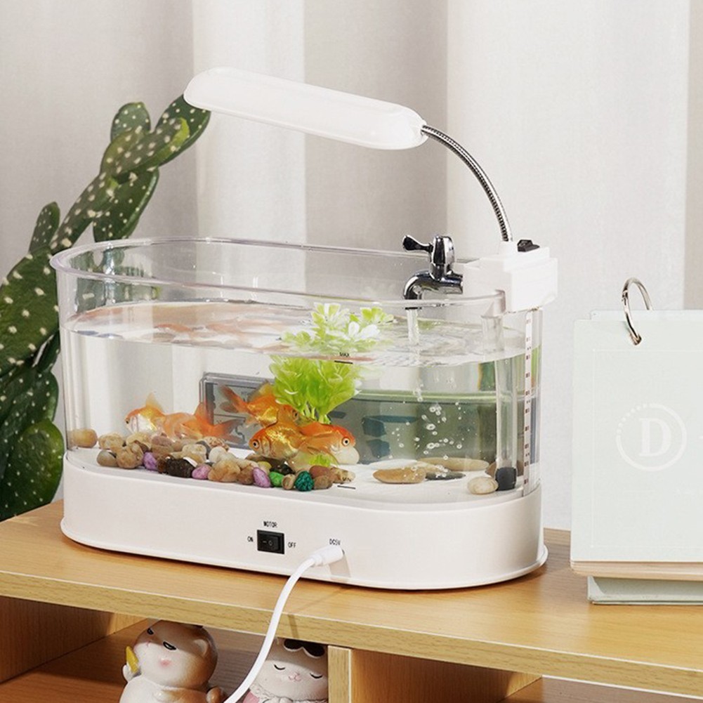 Small Fish Tank with Colorful LED Lights and Integrated Desk Lamp Features