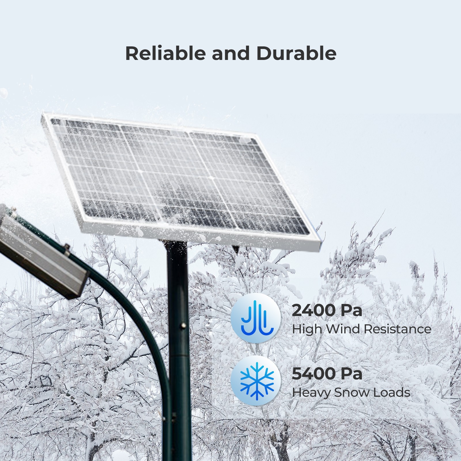 Renogy 50 Watt 12 Volt Monocrystalline Solar Panel Compact Design