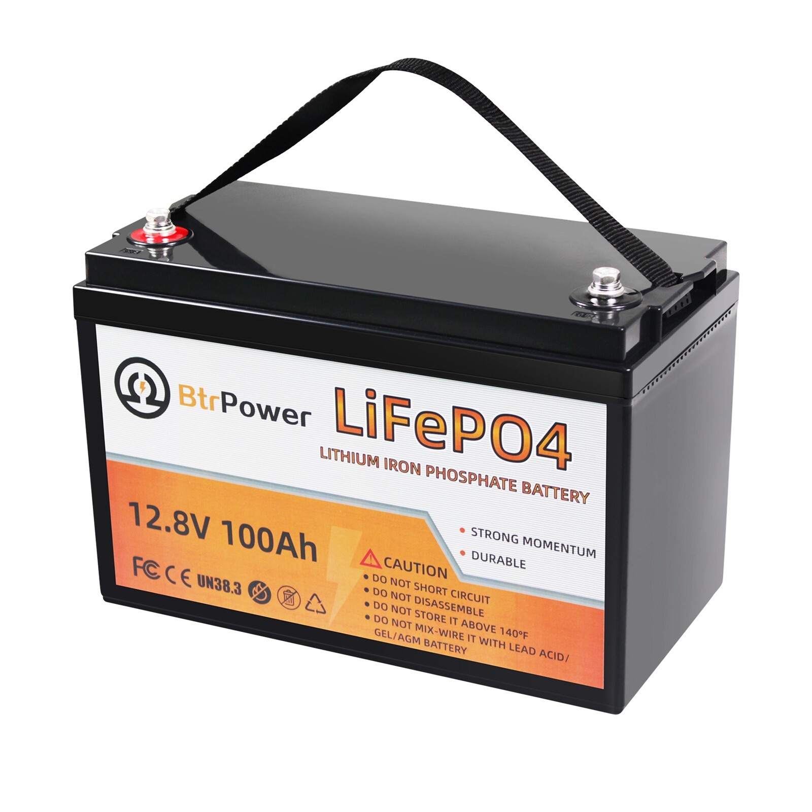 Btrpower 12V 100Ah LiFePO4 Lithium Battery for RV Marine Solar System 100A BMS