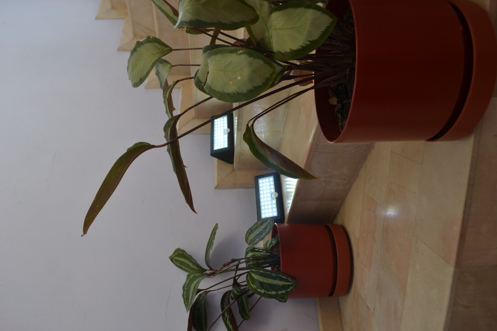 Solar Wall light with Motion sensor 30W ECUSOLAR